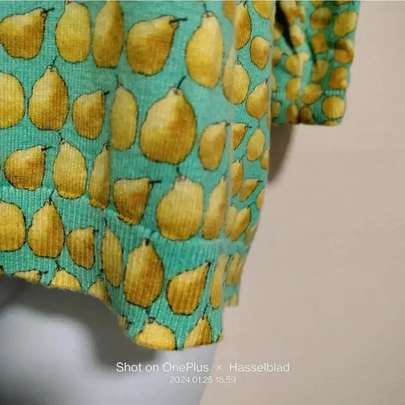 Talbots Size XLp Green Knit Pear Details Button Up back - Picture 5 of 8